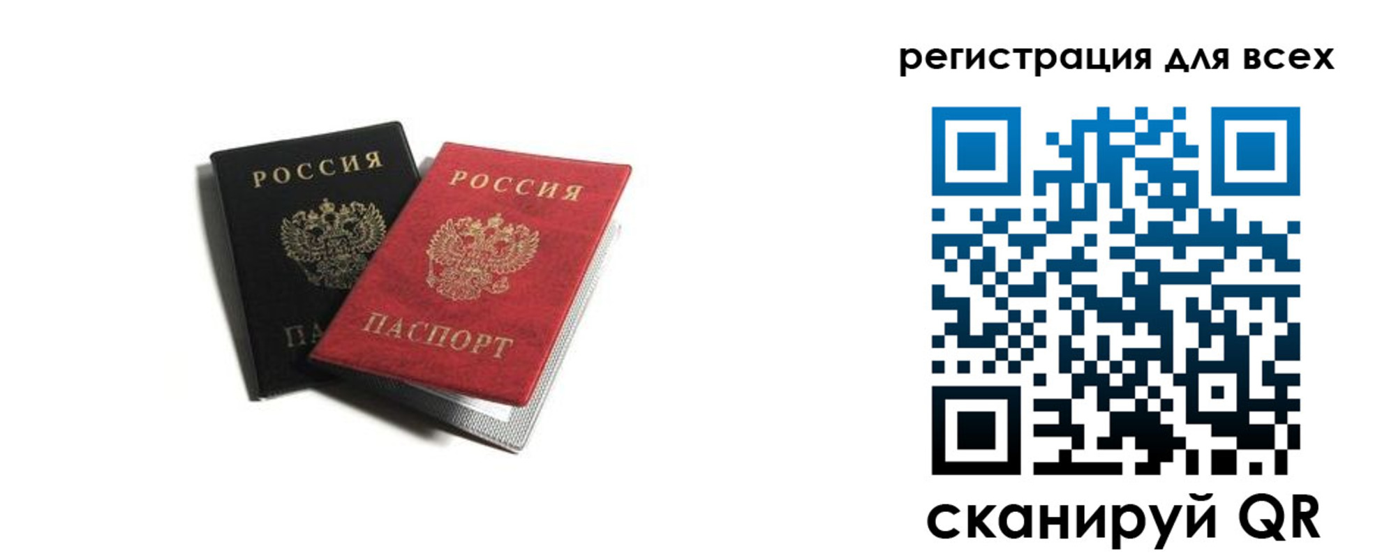 прописка гарантия в Ржеве